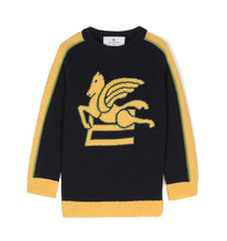 Carica l'immagine nel visualizzatore di Gallery, Maglione con motivo pegaso