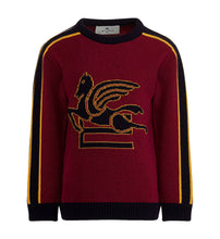 Carica l'immagine nel visualizzatore di Gallery, Maglione pegaso