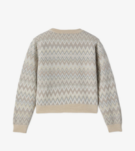 Carica l'immagine nel visualizzatore di Gallery, Maglione jumper a fantasia zigzaga

