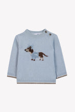 Carica l'immagine nel visualizzatore di Gallery, Maglione neonato azzurro in lana ricamata
