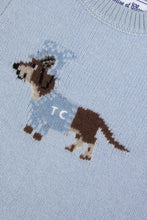Carica l'immagine nel visualizzatore di Gallery, Maglione neonato azzurro in lana ricamata
