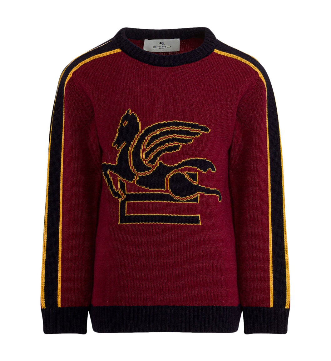 Maglione pegaso