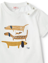 Carica l&#39;immagine nel visualizzatore di Gallery, T-shirt con bassotti neonato
