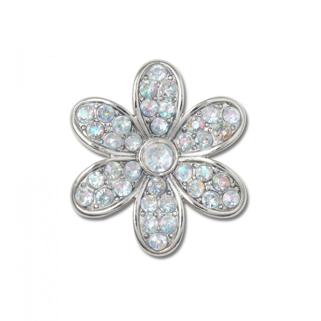 Silver Mnchrm Daisy 1
