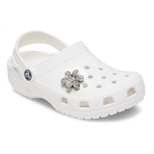 Carica l&#39;immagine nel visualizzatore di Gallery, Silver Mnchrm Daisy 1
