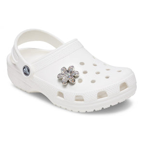 Silver Mnchrm Daisy 1